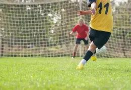 电商平台纷,纷入局团播,市场,平博体育平台,平博体育官方网站,平博体育登录入口,平博体育app下载