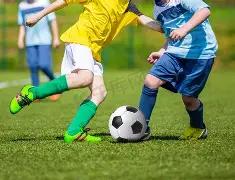 钱包热议,某品牌遭众,优缺点并存,平博体育平台,平博体育官方网站,平博体育登录入口,平博体育app下载