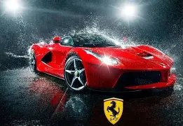 馬紹爾表現,亮眼,加福德認為,平博体育平台,平博体育官方网站,平博体育登录入口,平博体育app下载