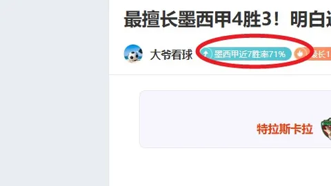 湖人重塑传奇：历时三月精炼，团队精神坚如磐石