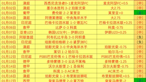 柏林赫塔对决纽伦堡：纽伦堡能否幸免